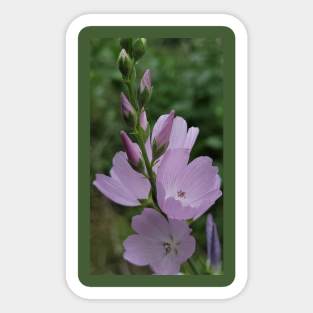 Purple flower Sticker